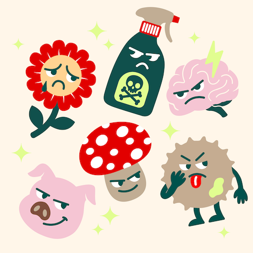 DAS MÜSLI-MONSTER MEMORY Intro Image
