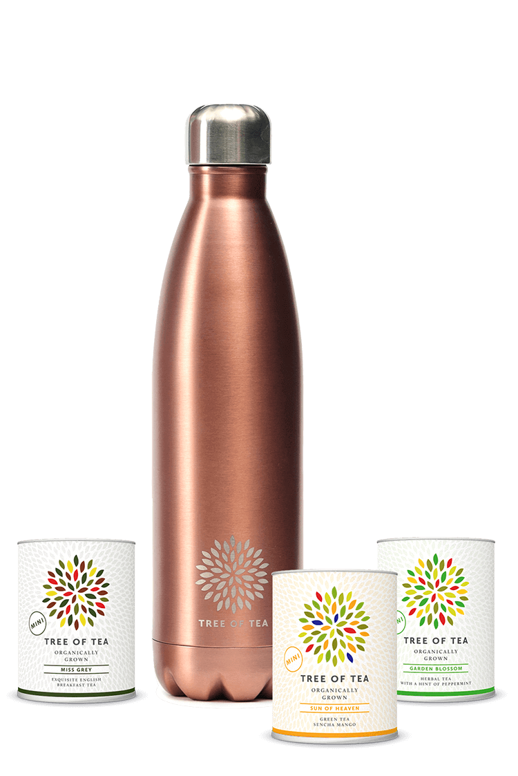 Unsere Thermo Bottle mit 3 leckeren Tee-Minis