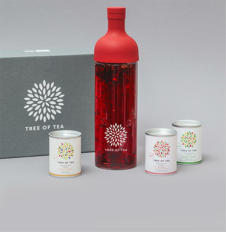 Das Eistee Probierset mit 3 leckeren Tee-Minis