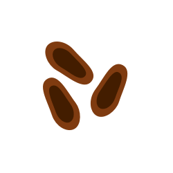 139-Plantago-Samen.png