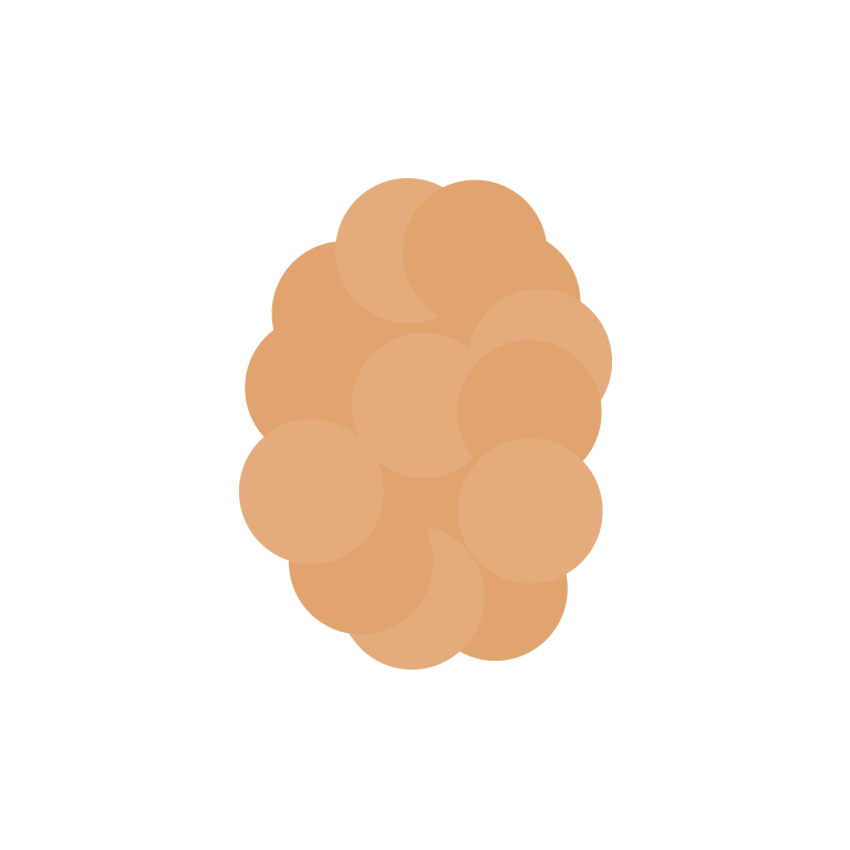 dinkelflakes-lykon-icons-kohlenhydrattyp.png