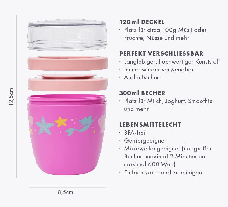 article2a-disney-princess-2go-mini-de.png
