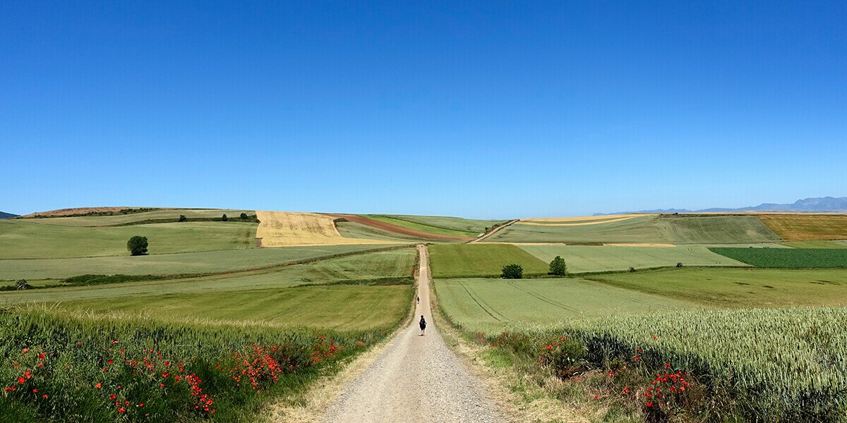 nachhaltigkeit-1-header.jpg