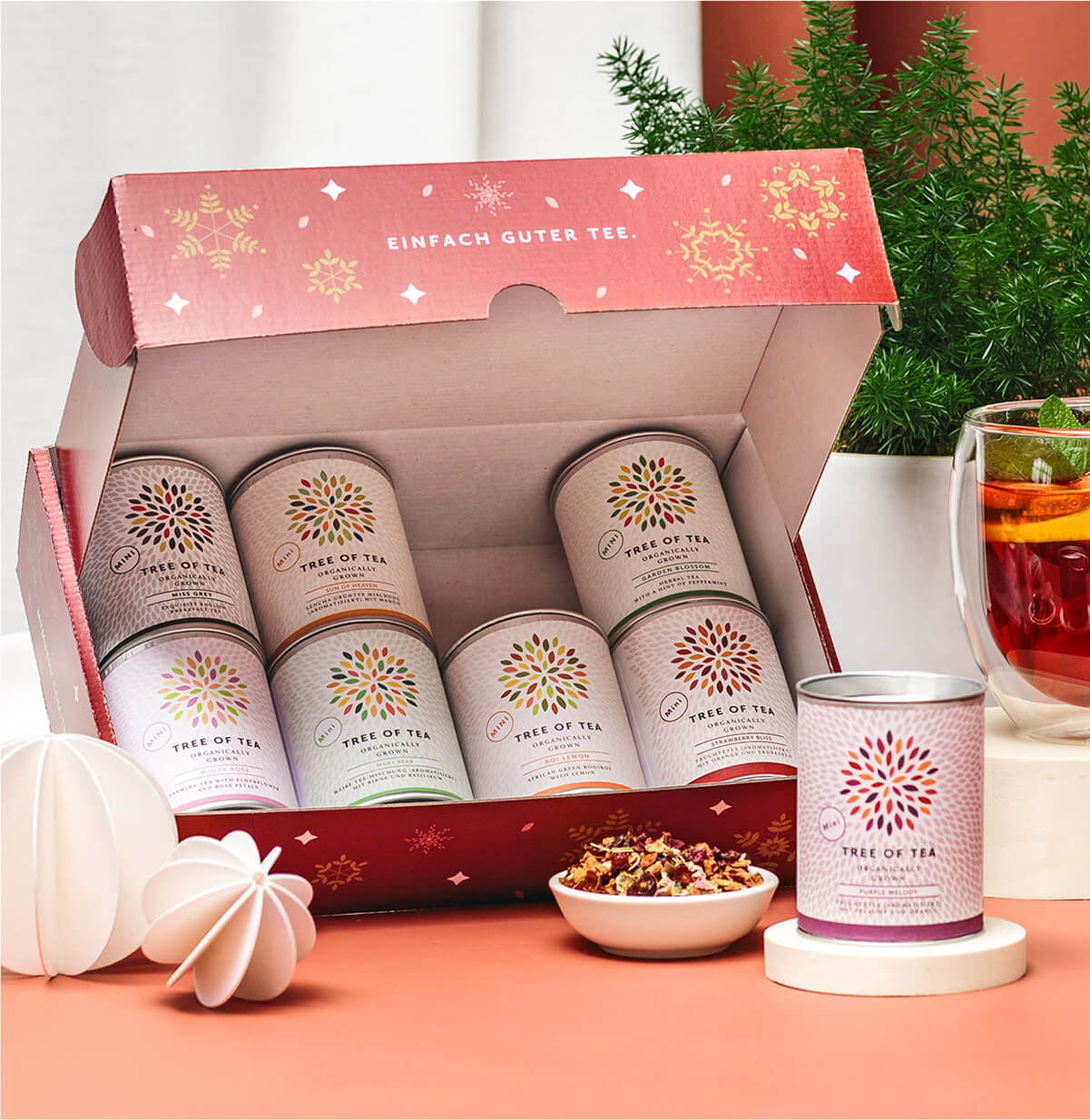 Probierpaket in Weihnachtsbox