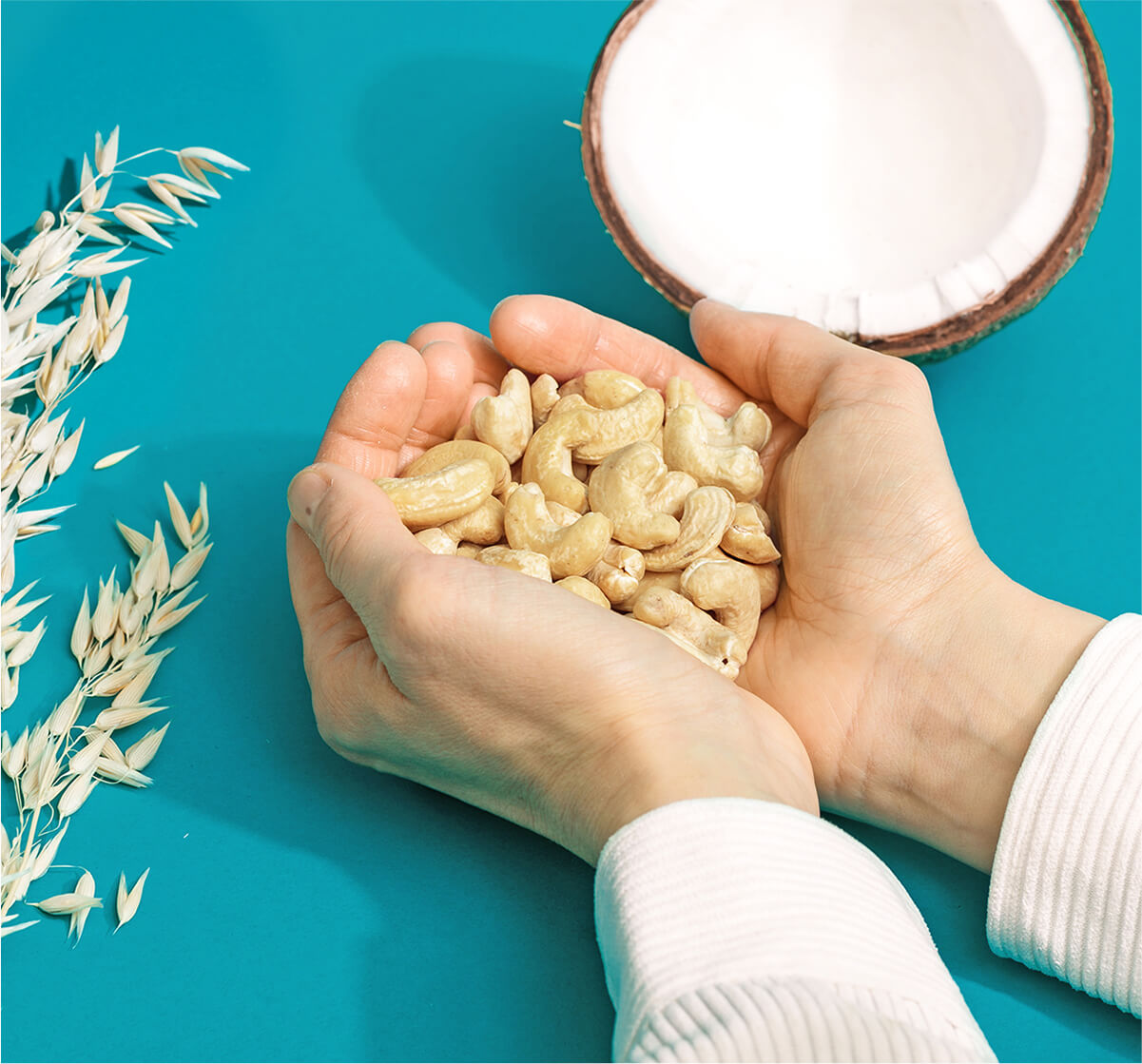 Unsere Zutaten: Bio und lecker.