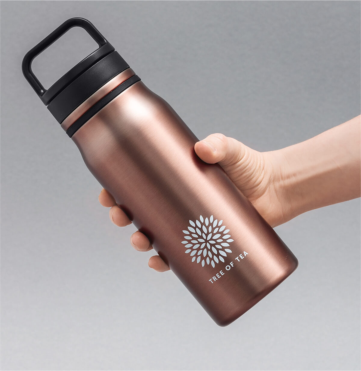 teaser-thermo2go.jpg