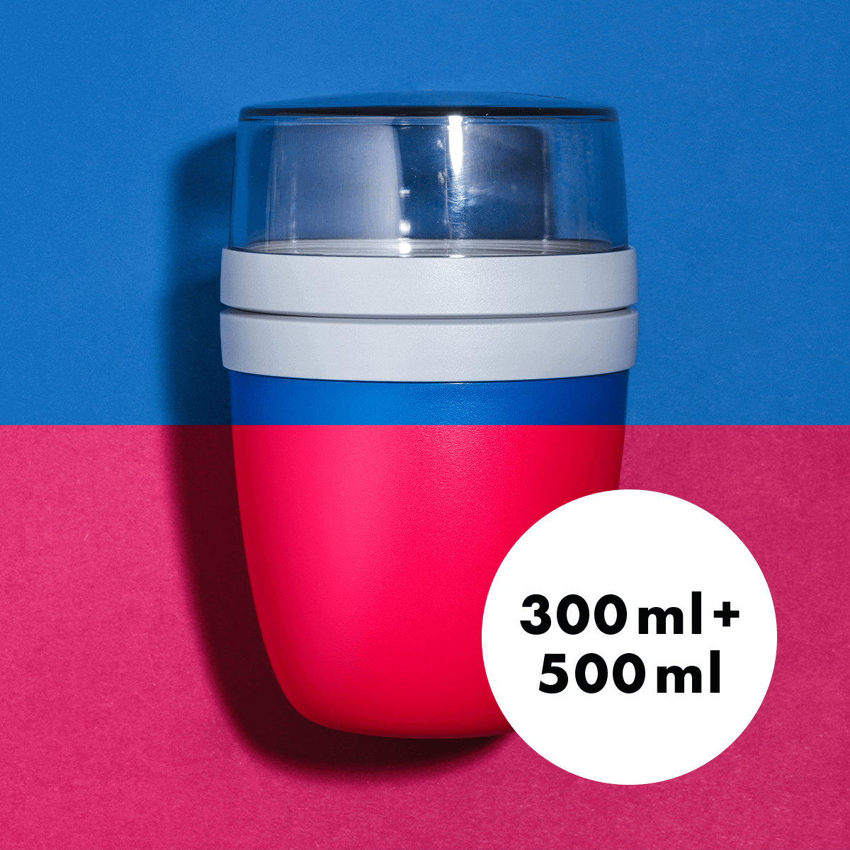 teaser-2go-mepal.png