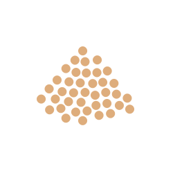 Protein Basis