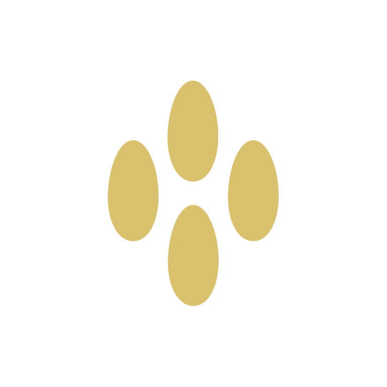sesam-millionfriends-icons-proteintyp.png