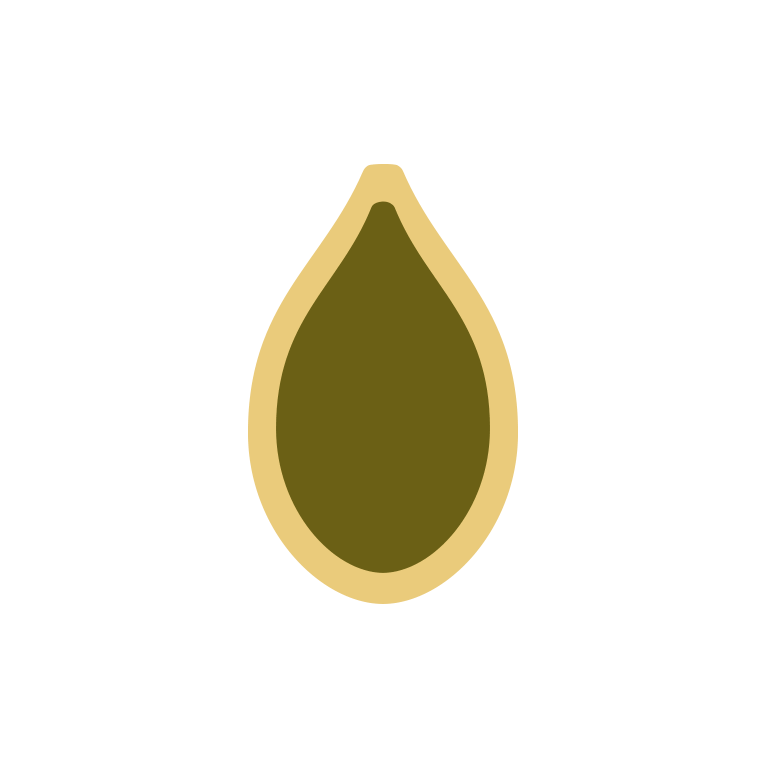 kuerbiskerne-millionfriends-icons-proteintyp.png