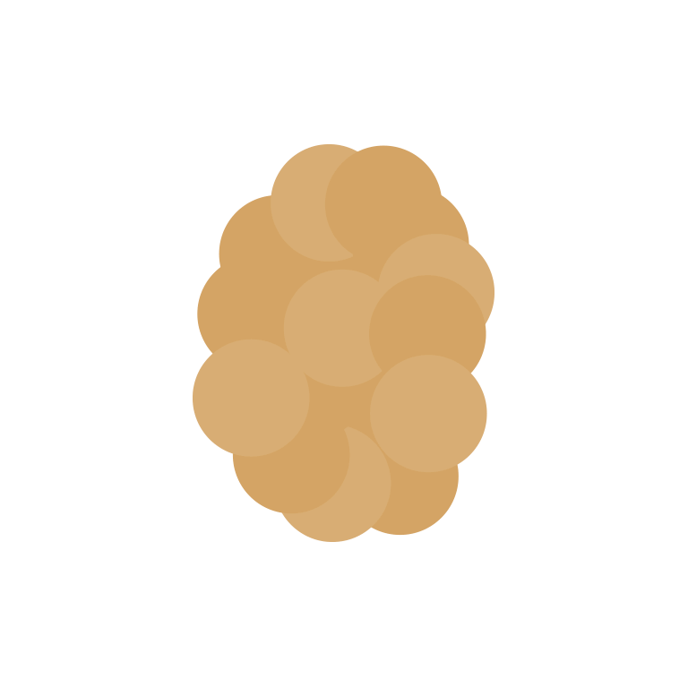 vollkorncornflakes-lykon-icons-kohlenhydrat-fetttyp.png